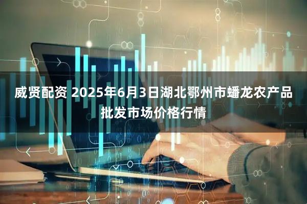 威贤配资 2025年6月3日湖北鄂州市蟠龙农产品批发市场价格行情