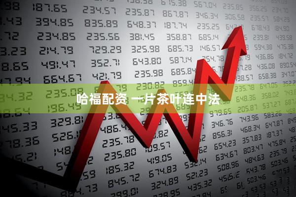 哈福配资 一片茶叶连中法