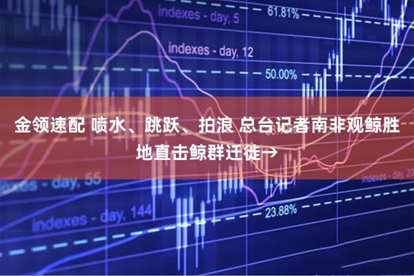 金领速配 喷水、跳跃、拍浪 总台记者南非观鲸胜地直击鲸群迁徙→