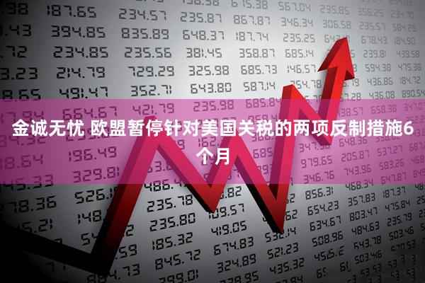 金诚无忧 欧盟暂停针对美国关税的两项反制措施6个月