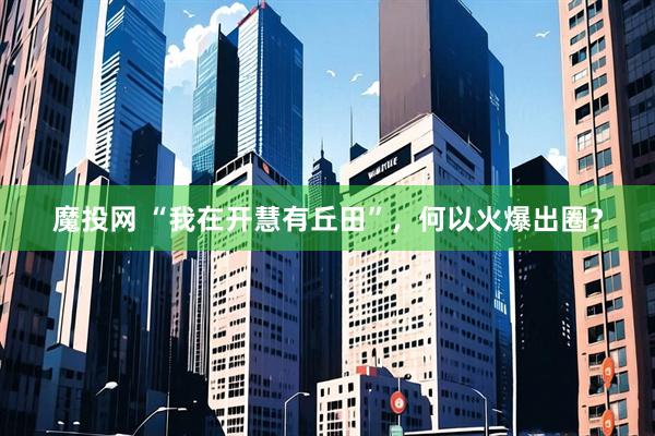 魔投网 “我在开慧有丘田”，何以火爆出圈？