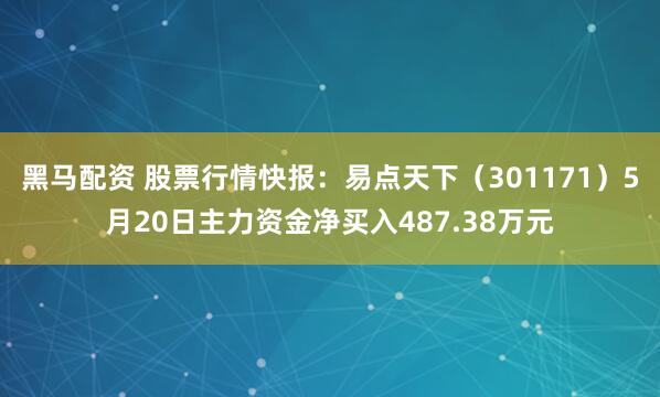 黑马配资 股票行情快报：易点天下（301171）5月20日主力资金净买入487.38万元