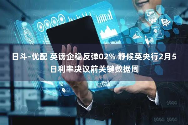 日斗-优配 英镑企稳反弹02% 静候英央行2月5日利率决议前关键数据周