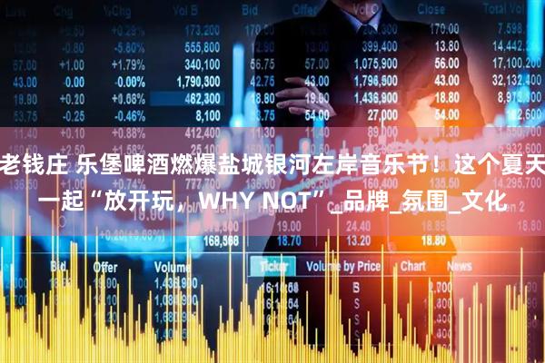 老钱庄 乐堡啤酒燃爆盐城银河左岸音乐节！这个夏天一起“放开玩，WHY NOT”_品牌_氛围_文化